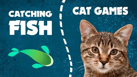 Catching BLUE FISH on screen | CAT GAMES - YouTube