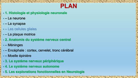 Solution Anatomie Et Physiologie Du Syst Me Nerveux Studypool