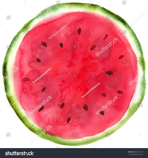 11,916 Watermelon watercolor slices Images, Stock Photos & Vectors | Shutterstock