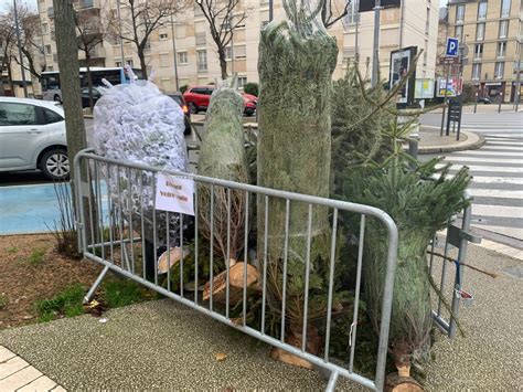 Ville De Poissy On Twitter Sapins Ecoresponsable La Ville De