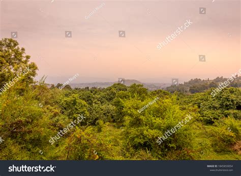 125 Kisoro District Stock Photos, Images & Photography | Shutterstock