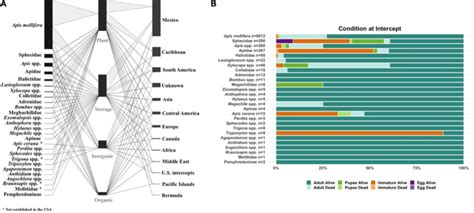 Research Update The Movement Of Western Honey Bees Apis Mellifera L Among U S States And