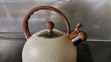 What Causes a Tea Kettle to Whistle? (Step by Step With Diagram ...