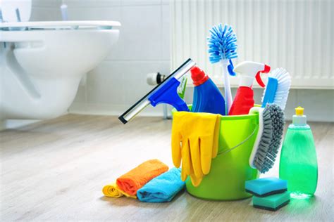 A Comprehensive Guide to Toilet Cleaning Materials in Singapore