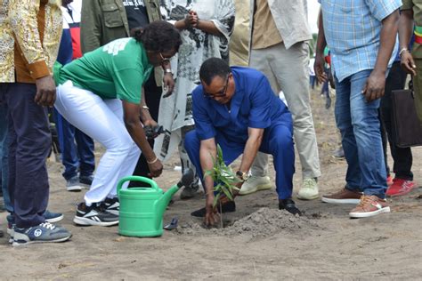 Congo Afforestation La Me Journ E Nationale De Larbre D Di E