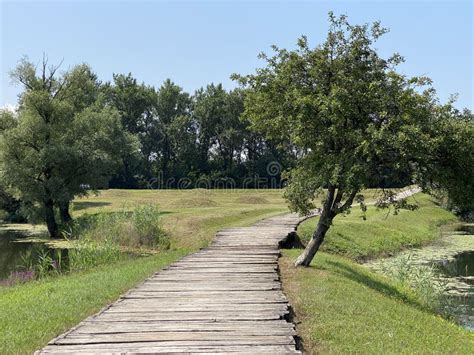 Sitio Conmemorativo De Jasenovac O Monumentos En El Campo De Control De