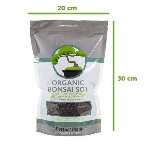 Buy Bonsai Tree Kit for Sale | Soil + Fertilizer Included | Perfect Plants