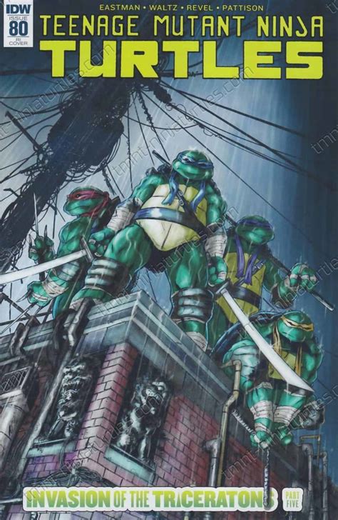 Idw Tmnt Vol V St Cover Ri Tmnt A Collection