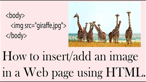 How To Insert An Image In Html In Center Templates Sample Printables