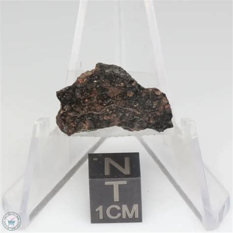 Nwa 1465 Meteorite 1465 49 Meteorites For