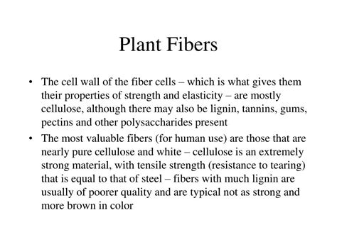 PPT - Fiber Plants PowerPoint Presentation, free download - ID:1331076