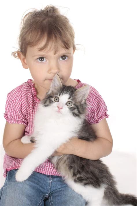 Petite Fille Avec Le Chaton Domestique Image Stock Image Du Fond