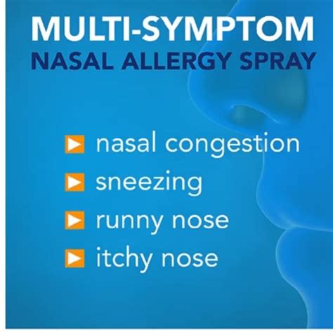 Walgreens 24 Hour Allergy Nasal Spray Twin Pack 2x120 Sprays — 🛍️ The Retail Market