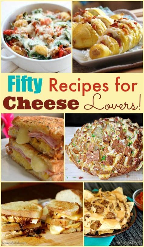 50 Easy and Quick Cheese Recipes for Cheese Lovers