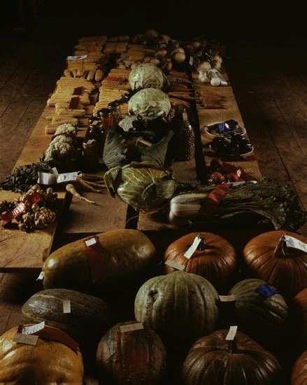 Exhibit Of Crops And Vegetables At The Pie Town New Mexico Fair 1940