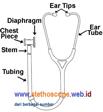 Parts Of The Stethoscope And Their Functions