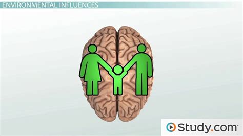 Iq Environmental And Genetic Influences Video And Lesson Transcript