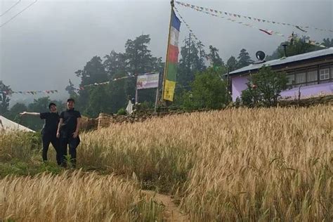 Gosaikunda Trek A Journey Through The Sacred Lake