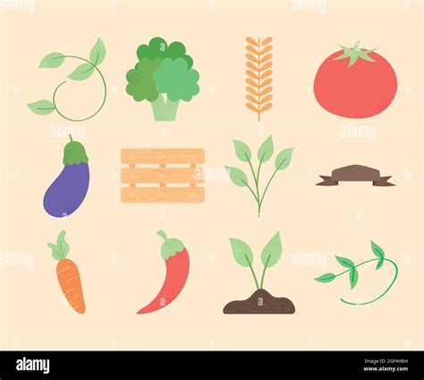 Fresh Vegetables And Plants Icon Set Stock Vector Image And Art Alamy