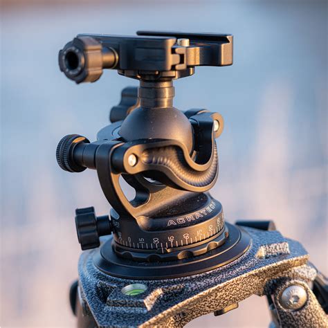 tripod head  nature photography  shirley chisholm blog