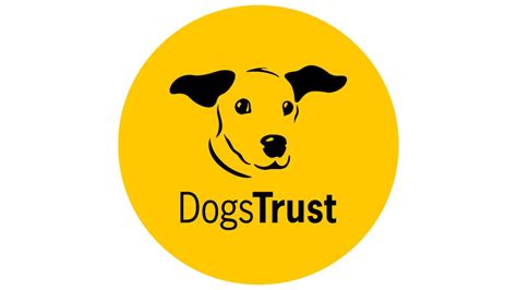 Charity Digital - Topics - Charity Spotlight: James Elliot, Head of Digital Experience at Dogs Trust