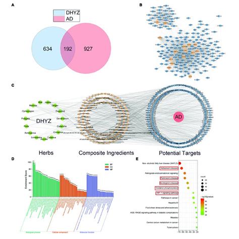 Network Pharmacology Analysis Of Dhyz Against Ad A Venn Diagrams Download Scientific