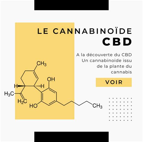 Cannabis le petit lexique sur les cannabinoïdes