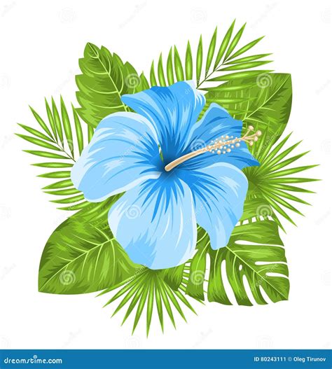 O Hibiscus Azul Bonito Floresce a Flor E As Folhas Tropicais Ilustração