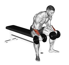 Reverse Wrist Curl Over Bench