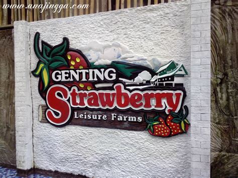 Strawberry Farm Genting Highland