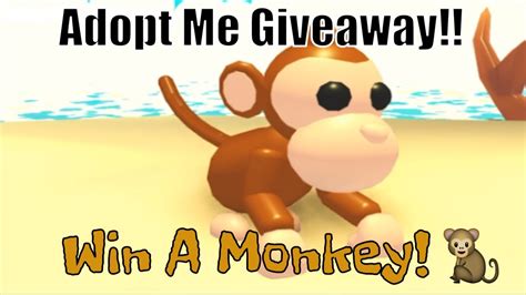 Adopt Me Prize Giveaway Win A Monkey Enter Today D YouTube