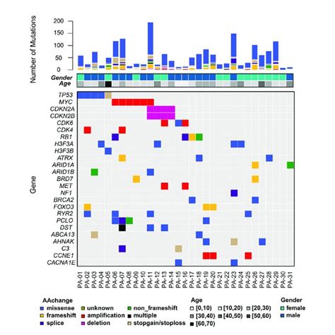 The Mutational Landscape Of Somatic Alterations Mutated Genes Are Download Scientific