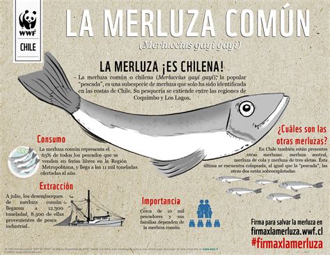 Wwf Chile On Twitter La Merluza Es ¡chilena Apoya Y Firma X La