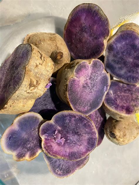 Hawaiian Purple Sweet Potato - Hawai'i Costco Finds