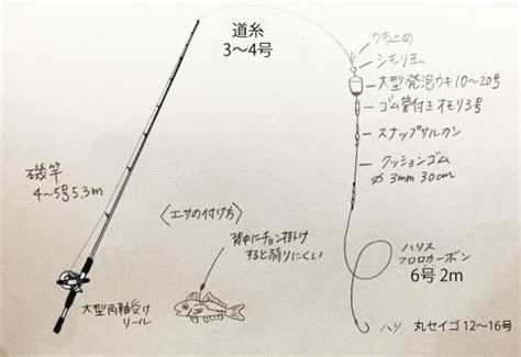 泳がせ釣りの仕掛けとやり方解説！自作で簡単にできる！