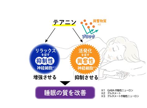 『睡眠改善』 睡眠サポートドリンク｜森永乳業株式会社