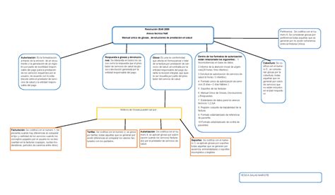 Cuadro Sinoptico Resolucion 3047 De 2008 Yesica Salas Mariote