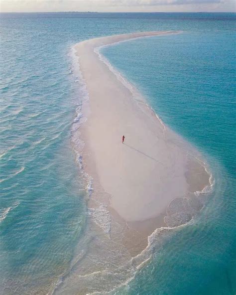 Private Sandbank Picnic Maldives Style A Unique Experience