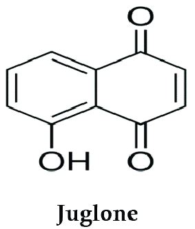 Chemical structure of juglone. | Download Scientific Diagram