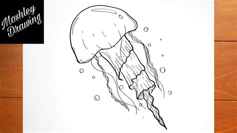 How To Draw A Realistic Jellyfish