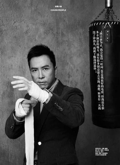 Donnie Yen Kung Fu Martial Arts Donnie Yen Movie Donnie Yen