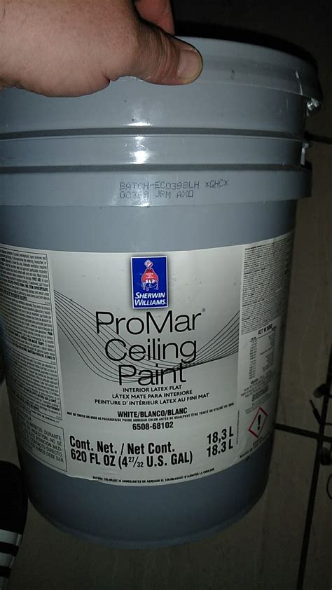 5 Gallon Ceiling Paint Sherwin Williams Shelly Lighting