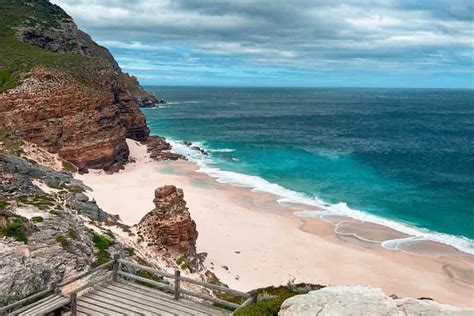 Excursi N De Un D A A La Pen Nsula Del Cabo Focas Ping Inos Y Cabo De