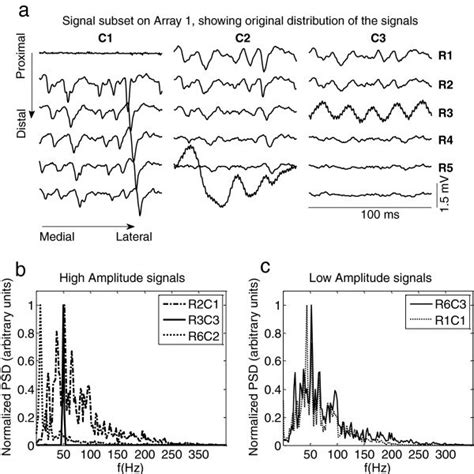 Average HD EMG Maps Across Subjects In The Five Assessed Muscles