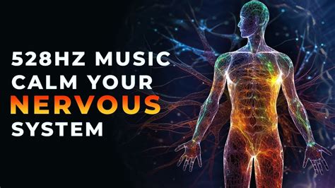 Nervous System Healing Frequency Music 528 Hz Calm Your Nervous