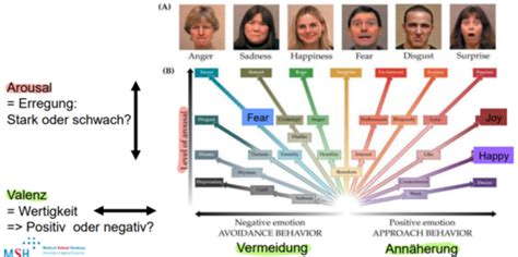 Biopsychologie Vorlesung Karteikarten Quizlet