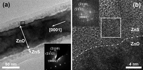 A Low Magnification Bright Field Tem Image Of Znozns Coreshell Nw