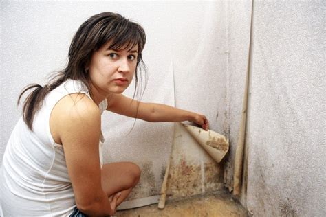 9 Basement Mold Prevention Tips Washington Dc