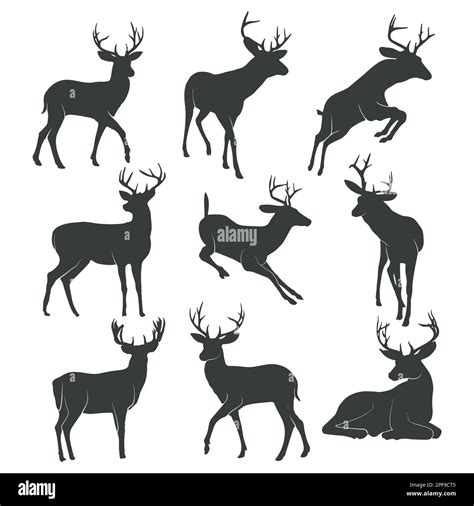 Deer Silhouette Collection Deer Logo Vector Stock Vector Image And Art Alamy