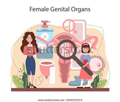 Sexual Education Concept Sexual Health Lesson Stock Vector Royalty Free 2040529214 Shutterstock